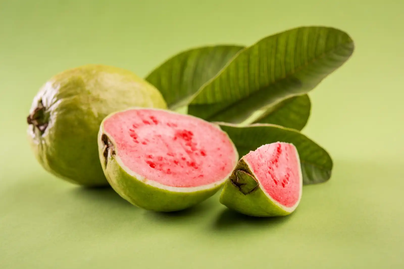 Una persona sosteniendo guayabas frescas, demostrando los beneficios de comer guayaba.
