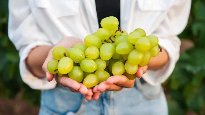 Quienes no deben comer uvas con frecuencia- los riesgos ocultos de esta fruta