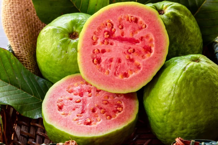 Toda la información de guayaba