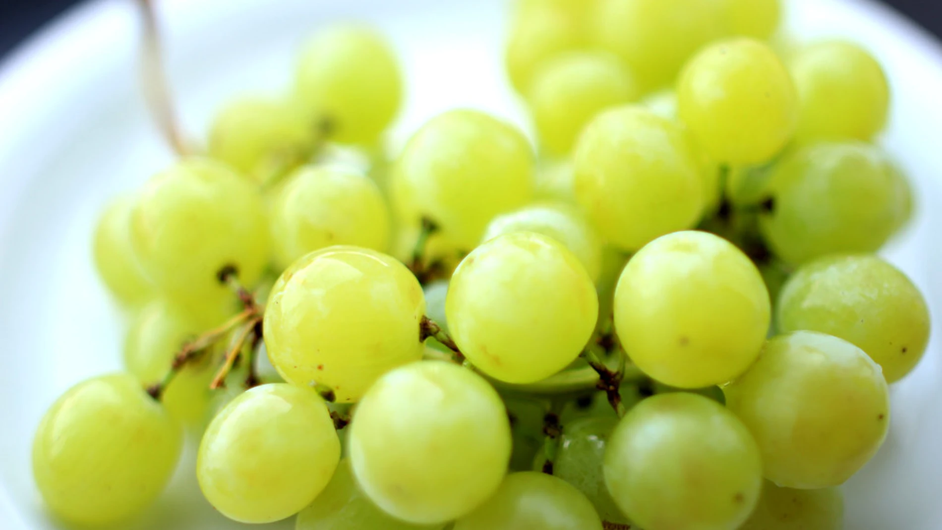 Un racimo de uvas frescas sobre una mesa, ilustrando el tema de quiénes no deben comer uvas.