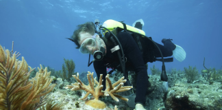 cuanto gana un biólogo marino