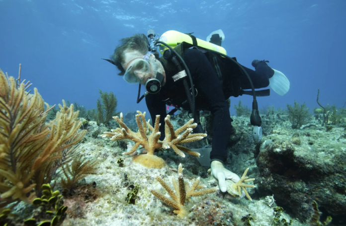 cuanto gana un biólogo marino