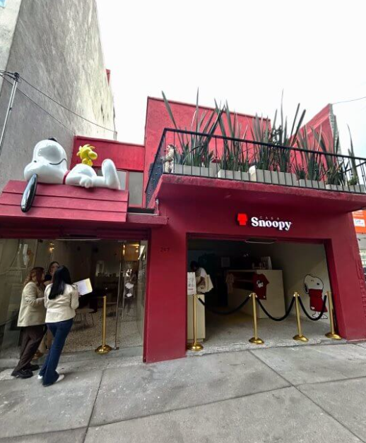Casa Snoopy