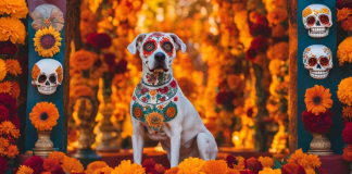 Leyendas del día de muertos