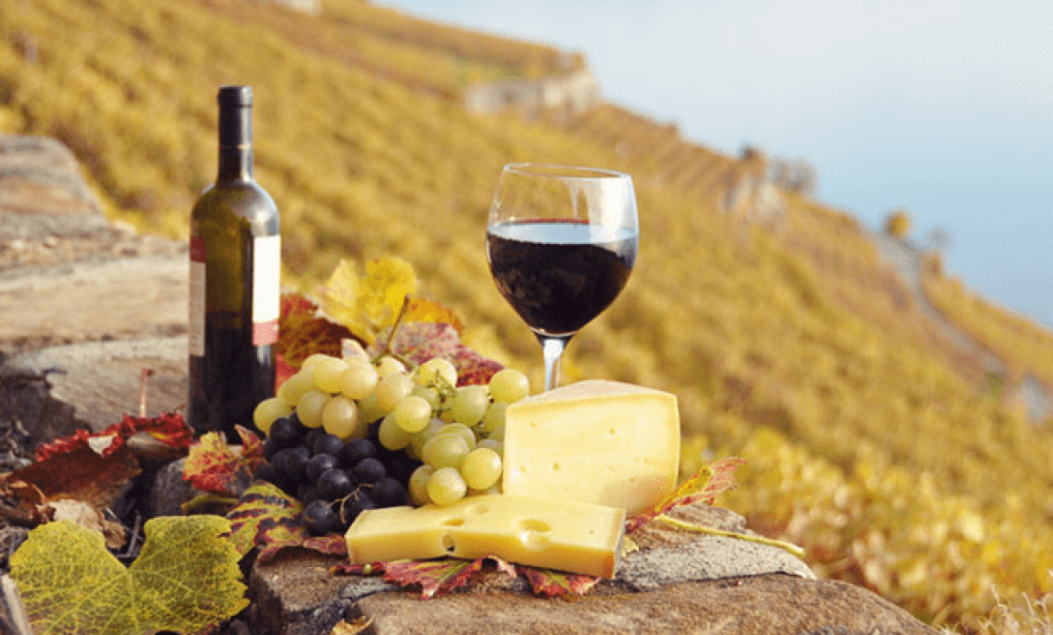 Copa de vino en un viñedo al atardecer, representando la romántica Ruta del Queso y el Vino en Querétaro.