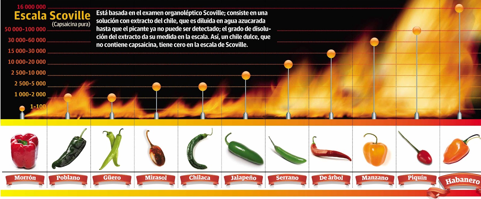 Gráfico de los chiles más picantes del mundo, destacando el habanero entre ellos.