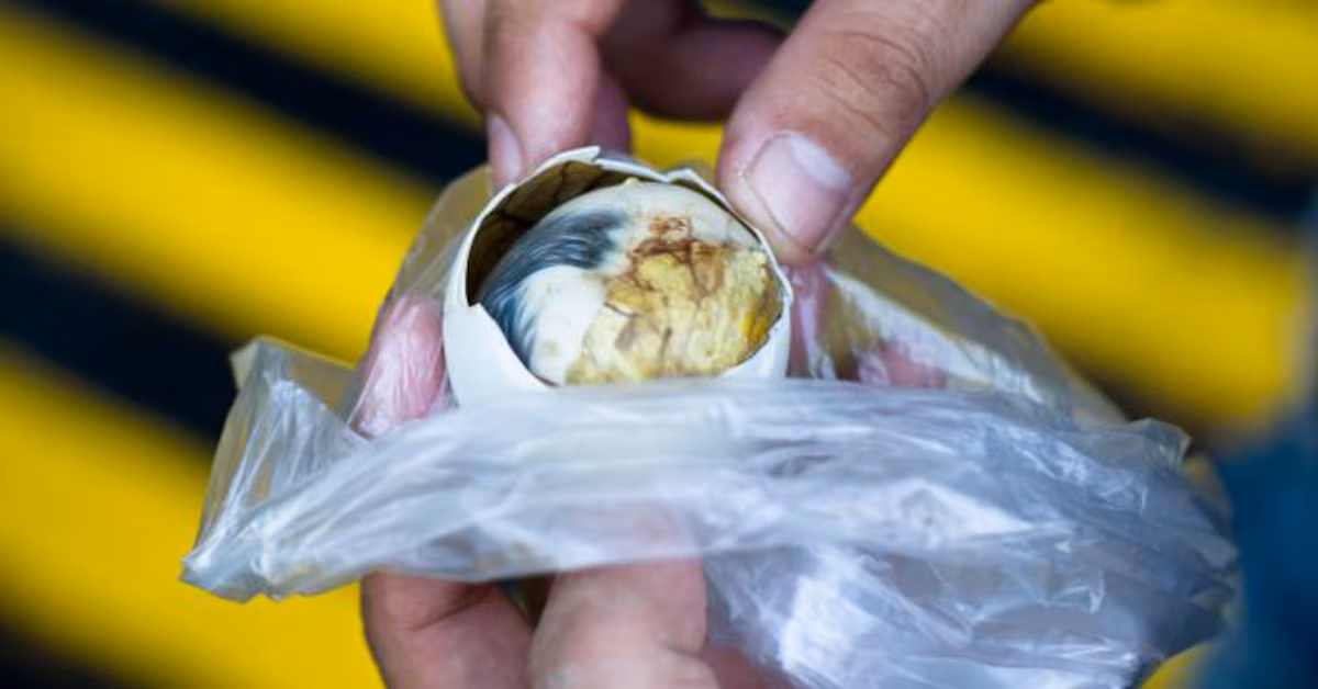 Huevos Balut de Filipinas, un ejemplo de platillos exóticos con embriones.