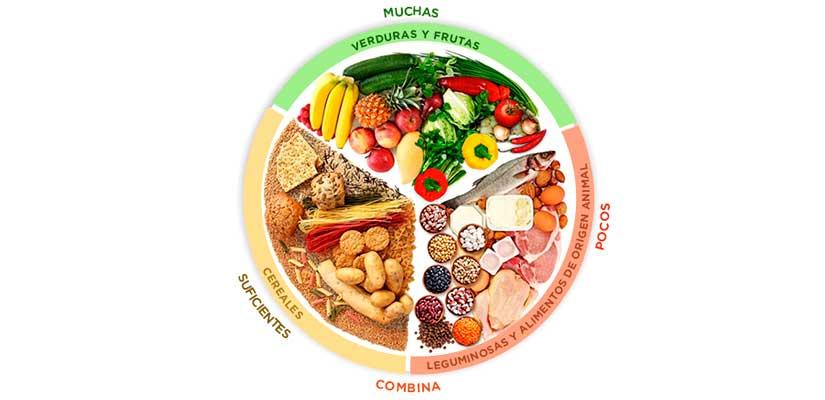 Ilustración del Plato del Bien Comer con sus tres grupos de alimentos- verduras y frutas, cereales y leguminosas con alimentos de origen animal.