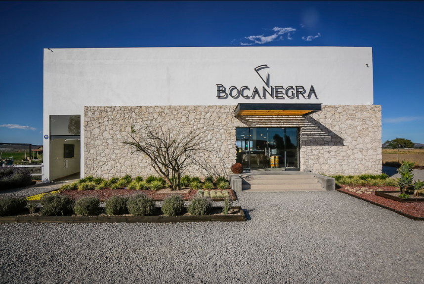 Cava Bocanegra