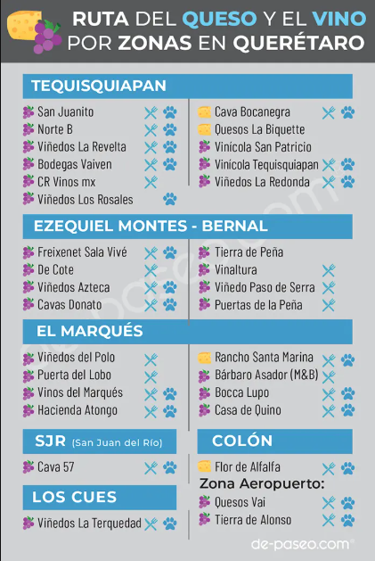 Viñedos Querétaro
