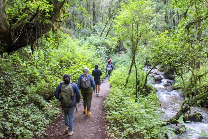 Cascada de la Burbuja caminata