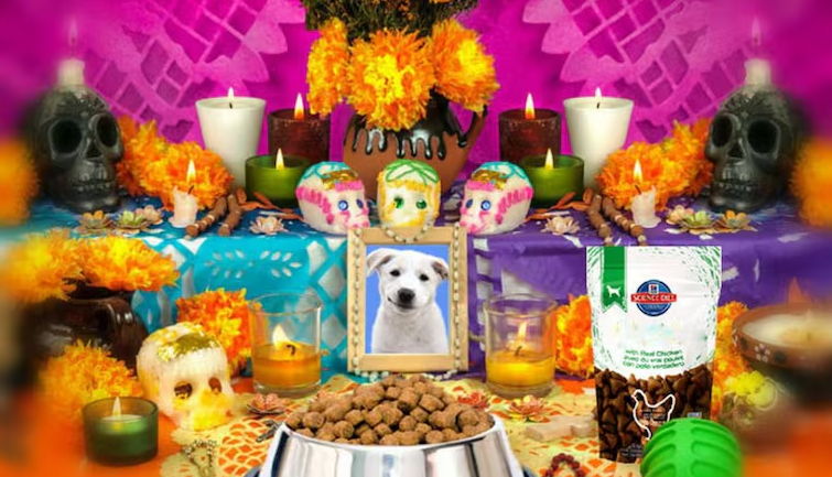 ¿Qué día se pone la ofrenda para las mascotas en día de muertos?
