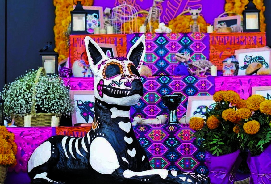 Mascotas en el día de muertos