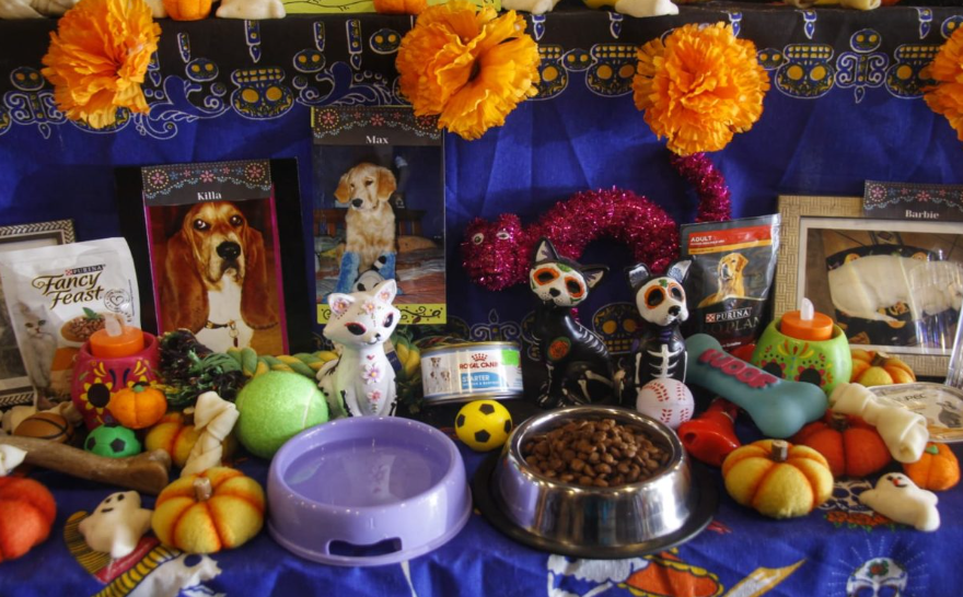 Ofrenda para las mascotas