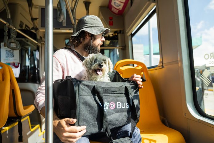 Sistema Qrobús Pet Friendly