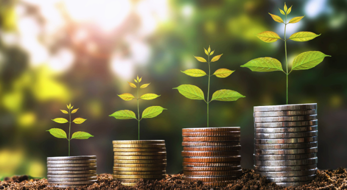 Verde y rentable- Por qué las empresas que ignoran la sostenibilidad están perdiendo dinero