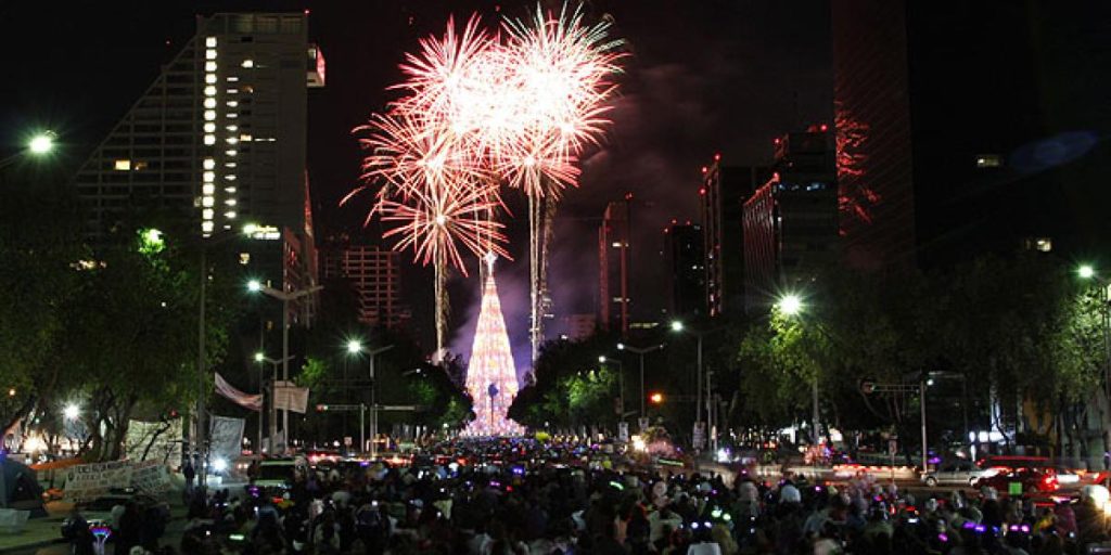 La Palma de Reforma: historia, leyenda y significado del árbol más famoso de CDMX