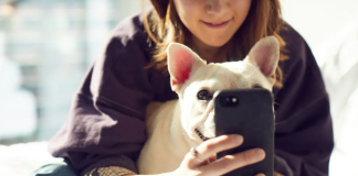 Hoteles pet-friendly en Querétaro para año nuevo con tu mascota