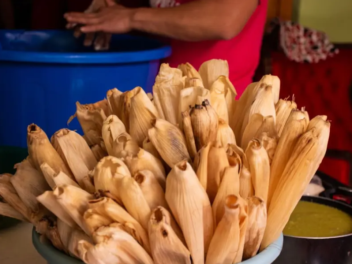 ¿Cuántos kilos de masa se necesitan para 50 tamales?