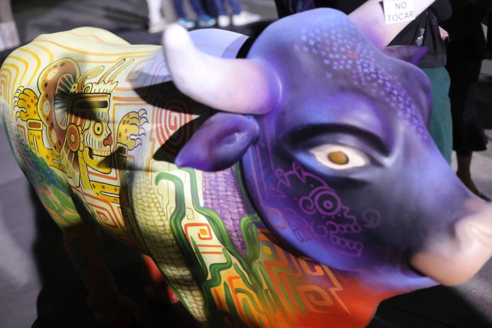 Buey, arte y tradición