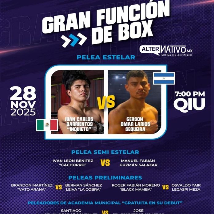box profesional llega al Qiu box profesional llega al Qiu