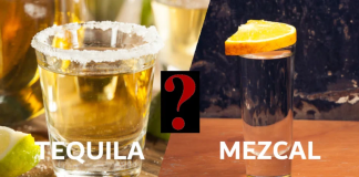 Diferencia entre tequila y mezcal: guía completa para entenderlos