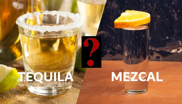 Diferencia entre tequila y mezcal: guía completa para entenderlos