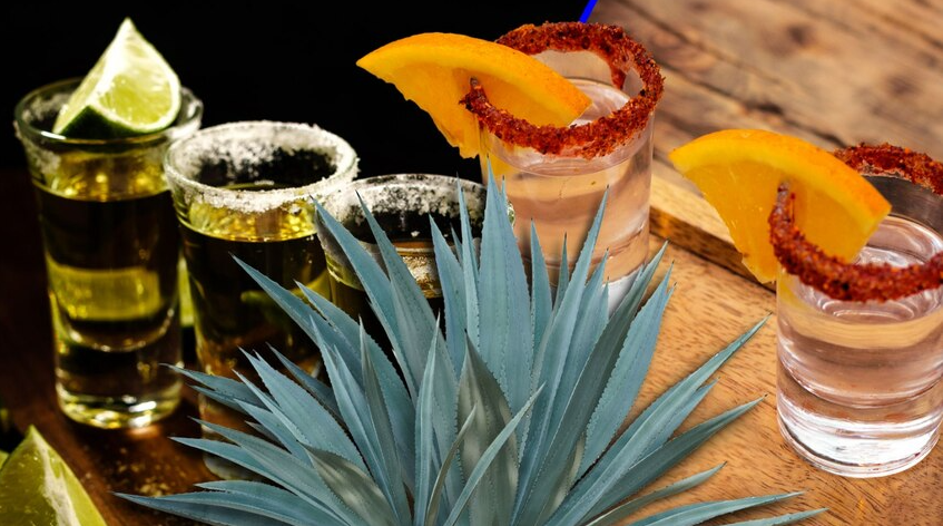 Diferencia entre tequila y mezcal