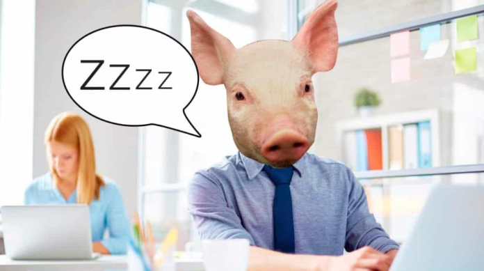 Captura de pantalla 2025-12-18 204946 Remedios caseros para el mal del puerco en la oficina