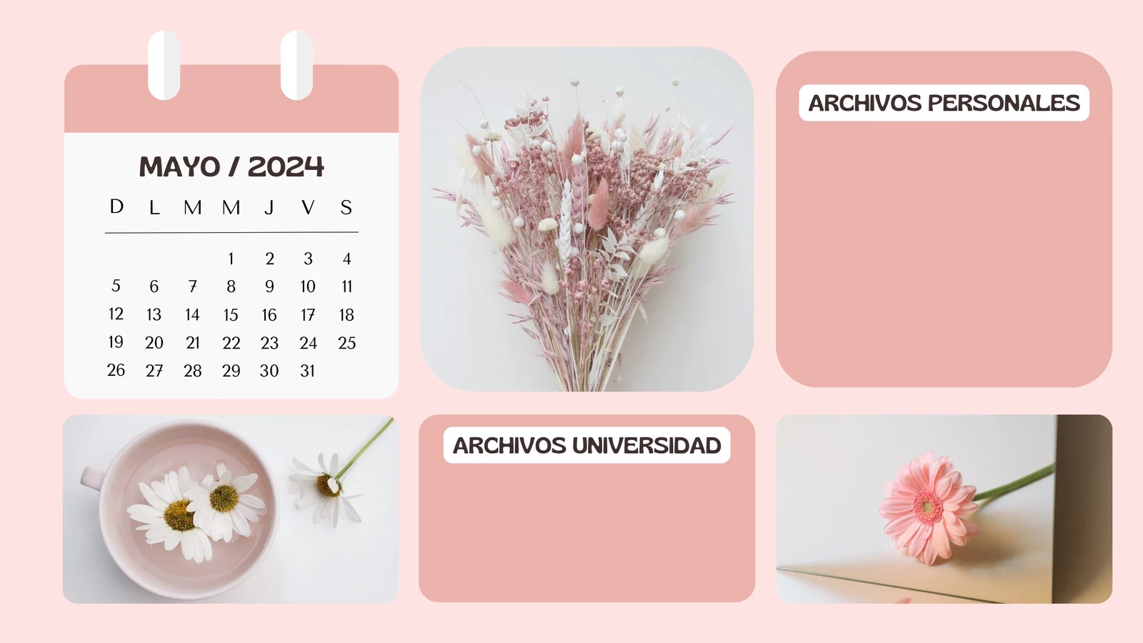 Montaje visual con elementos del Delulu Aesthetic, colores vibrantes y mensajes inspiradores.