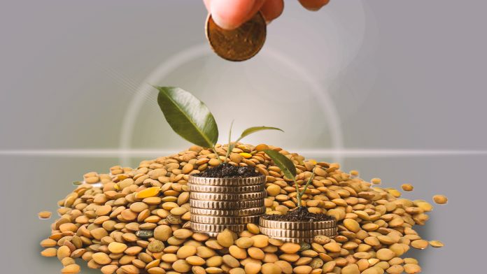 Ritual de Lentejas para Año Nuevo- Guía definitiva para atraer abundancia y prosperidad