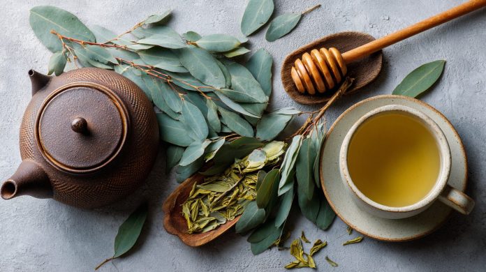 Té de abango- beneficios, ingredientes y cómo tomar esta infusión herbal tradicional
