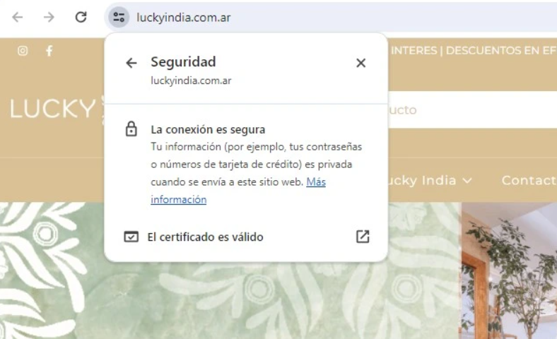 El Candado y el "HTTPS": Tu Primera Línea de Defensa