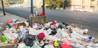 Multa por tirar basura en la calle en CDMX: costo actualizado (2026)