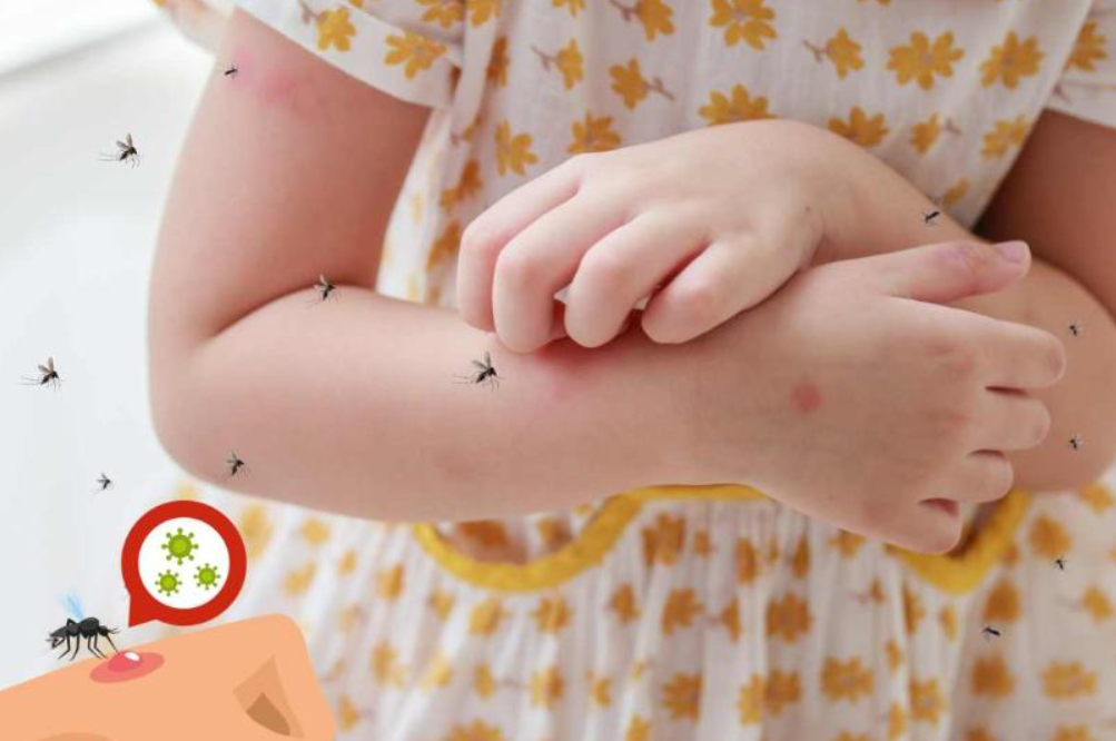 Diferencia entre dengue, zika y chikungunya