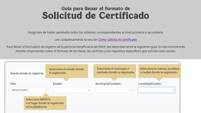 Certificado de primaria o secundaria del INEA, mostrando su formato digital.