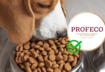 Guía Definitiva 2026: Las Mejores Croquetas para Perro Según Profeco y Expertos Guía Definitiva 2026- Las Mejores Croquetas para Perro Según Profeco y Expertos