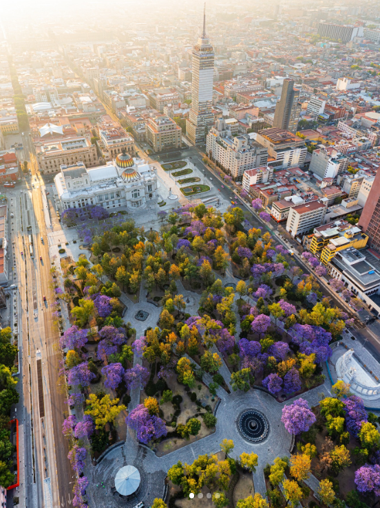 Alameda Central: Historia, Arte y Flores
