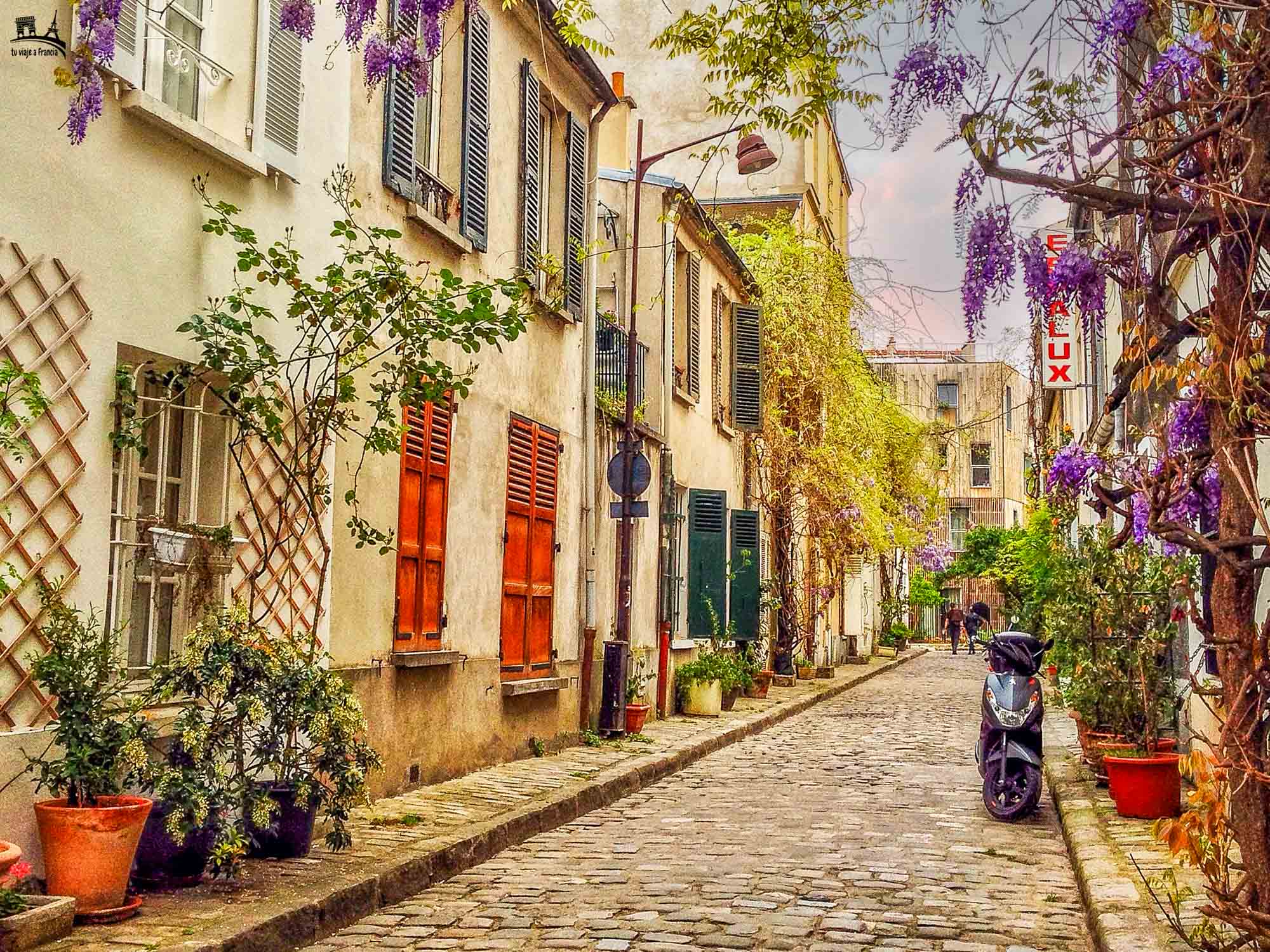 Calles con glicinas y hiedra en la Rue des Thermopyles, una de las calles más caras y tranquilas de París.