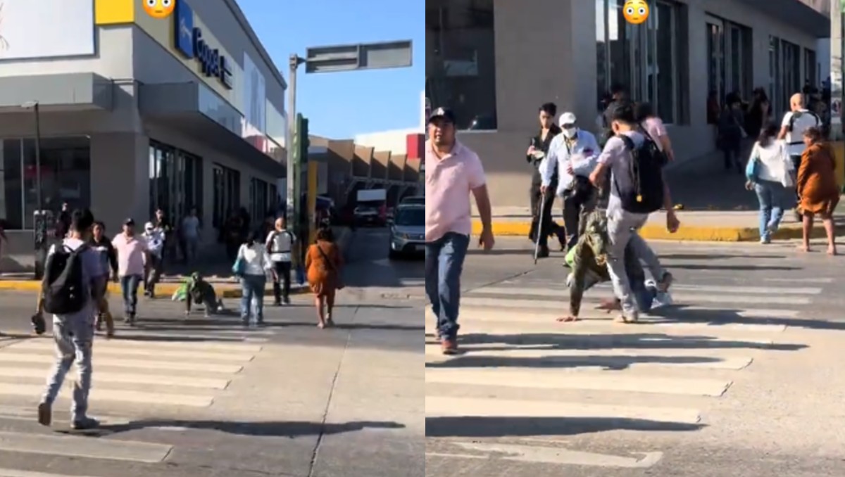 Joven caracterizado como therian cocodrilo caminando a cuatro patas en una calle de Tampico.