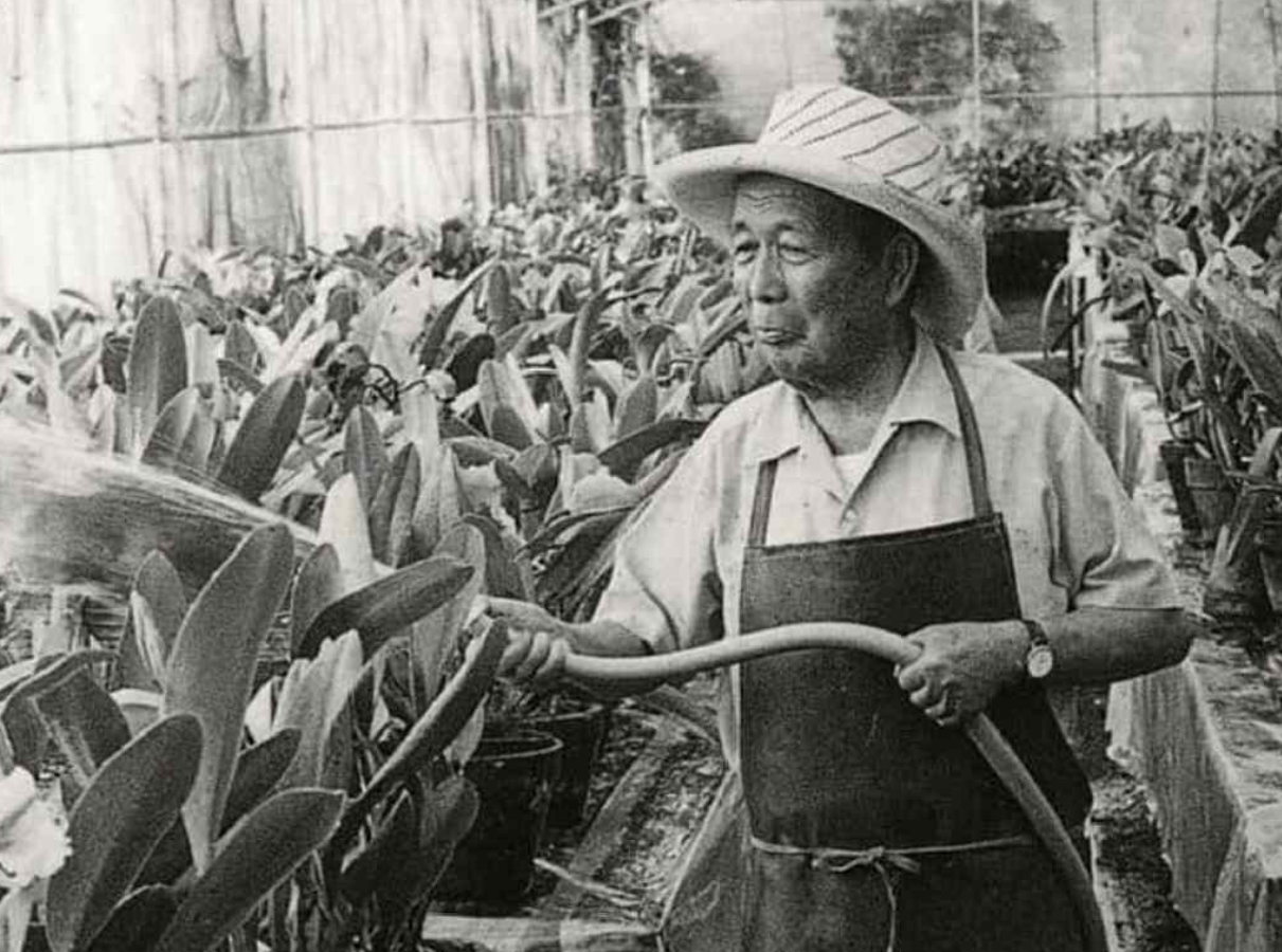 jardinero paisajista japonés Tatsugoro Matsumoto