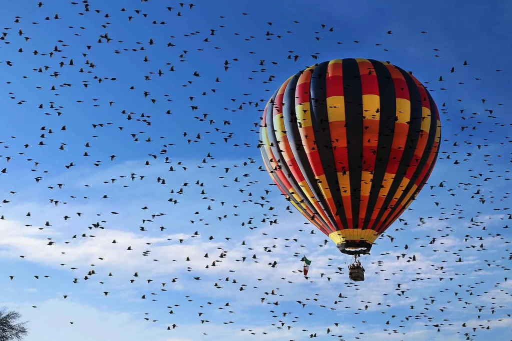 Amealco de Bonfil apuesta al turismo con primer evento de globos aerostáticos