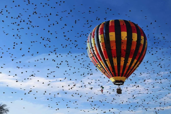 globos-aerostáticos-en-Tequisquiapan-Querétaro Amealco apuesta al turismo