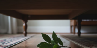 ¿Para qué sirve poner una hoja de laurel debajo de la cama antes de dormir?