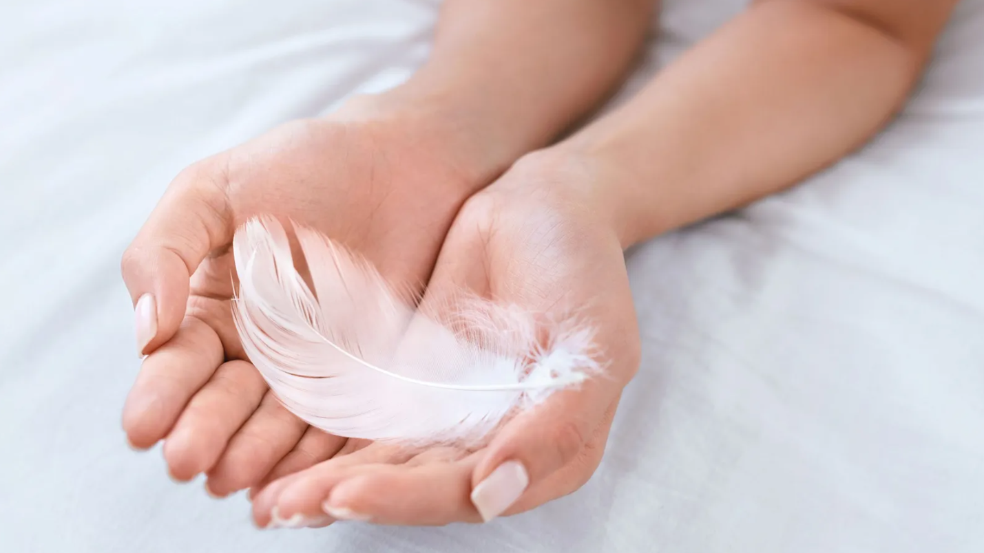 El Significado Espiritual de encontrar plumas en el patio de tu casa: Un Mensaje del Cielo
