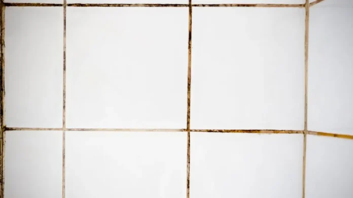 Comparativa de una junta de azulejos sucia frente a una impecablemente limpia y blanca.