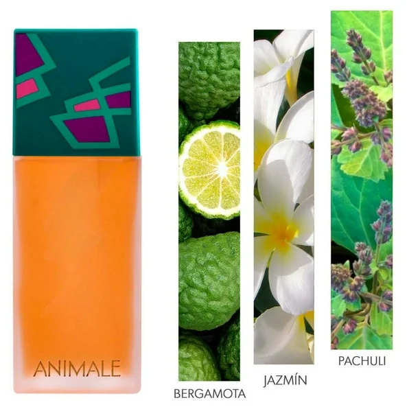 Ingredientes principales de Animale- miel, pachulí y musgo de roble.