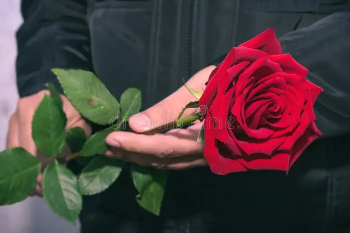 Manos entregando una rosa roja, representando el regalo simbólico de un ser querido fallecido en un sueño.