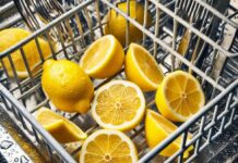 Para qué sirve poner cáscaras de limón en el lavavajillas o en la tarja: El truco definitivo de limpieza Para qué sirve poner cáscaras de limón en el lavavajillas o en la tarja- El truco definitivo de limpieza