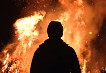 Qué significa soñar con un incendio forestal que ves desde lejos: El mensaje oculto de tu mente Qué significa soñar con un incendio forestal que ves desde lejos- El mensaje oculto de tu mente